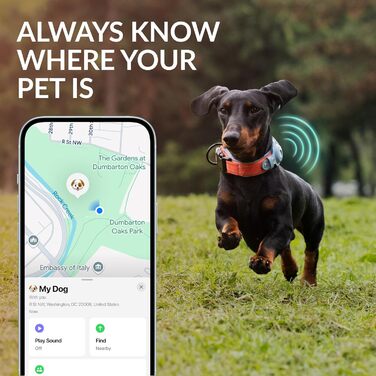 Нашийник для Apple AirTag для собак CollarDirect, світловідбиваючий, чорний, XL (51-61 см)