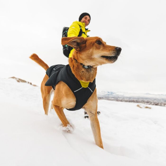 Куртка Ruffwear Quinzee для великих собак, ізольована куртка для собак на всі погодні умови, водовідштовхуюча куртка для собак, легка жилетка для собак та сумка-переноска, розмір L, Obsidianschwarz (Чорний обсидіан)