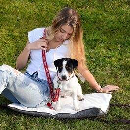 колір: сірий