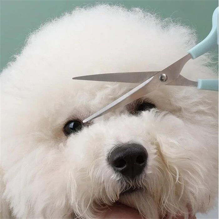 Професійний набір ножиць для грумінгу собак: 2 в 1 (прорізуюча та пряма), 17 см, з нержавіючої сталі, для собак, котів та інших домашніх тварин