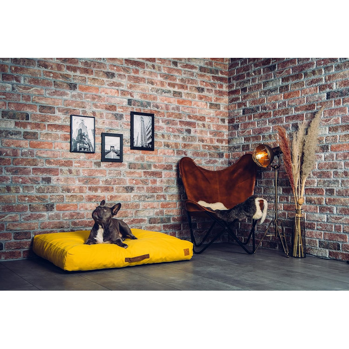 Ортопедичне ліжко для собак Roth & Bock з м'якої піни, сертифіковане Oeko-Tex Standard 100, покриття з водонепроникного канвасу, жовте, розмір S