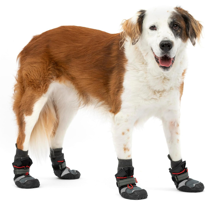 Чоботи для собак Kurgo Blaze Cro - захист лап на всі сезони - водонепроникні, світловідбиваючі, неслизькі - комплект з 2 шт. - Сірий (L)