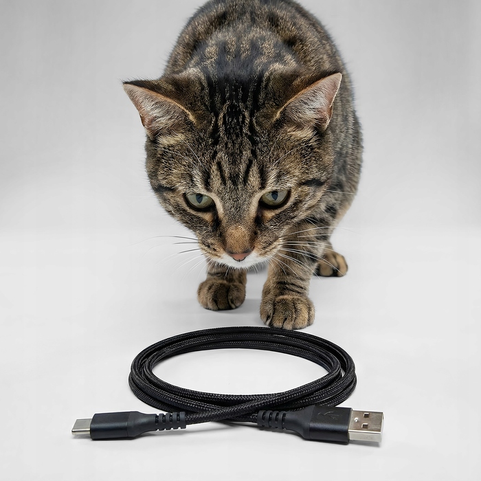 Автоматичний годувальник для котів та собак Peluvio Crispy з Wi-Fi, 4.5 л