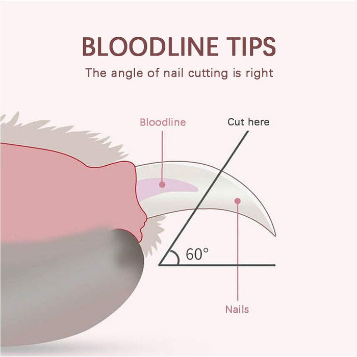 Професійна ножиця для грумінгу собак та котів: безпечна та зручна для маленьких порід, цуценят та кроликів (сірий)