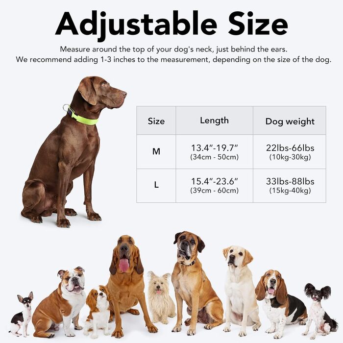 LED-нашийник для собак KOSKILL, перезаряджається через USB, водонепроникний, світлодіодний, регульований, надзвичайно яскравий, для середніх та великих собак (зелений, M)