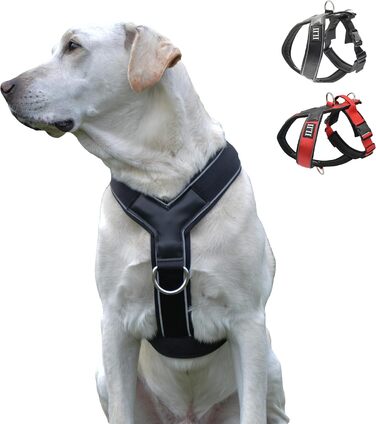 Нашийник для собак ILII - міцний, елегантний та комфортний. Унікальний дизайн для середніх та великих собак. Чорний, мінімальне покриття.