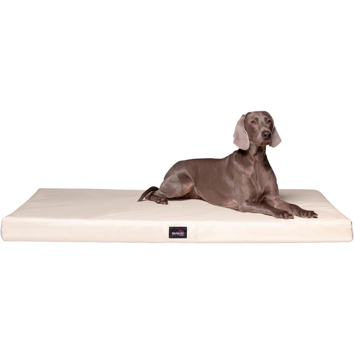 Ортопедичний лежак для собак Tierlando Alice з міцного поліестеру 600D, віскоеластичний матрац з неслизьким дном, розмір 80x60 см, колір: кремовий