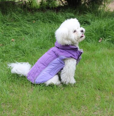 Флісовий худі для собак JoyDaog, теплий одяг для маленьких цуценят, зимовий одяг для собак, зелений, розмір S