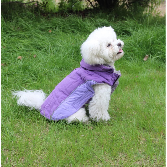 Флісовий худі для собак JoyDaog, теплий одяг для маленьких цуценят, зимовий одяг для собак, зелений, розмір S