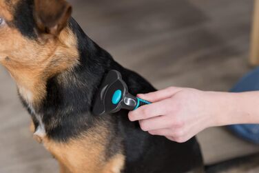 Тріксі Щітка для вичісування шерсті з ви змінним гребінцем - нержавіюча сталь, прогумований пластиковий ручка - чорний/синій - 8 x 14 см - 24173