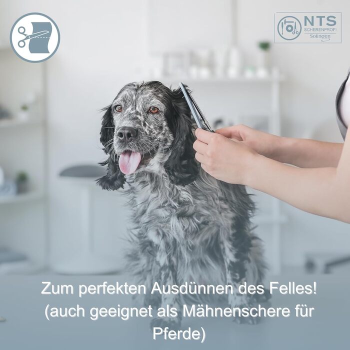 Ножиці для собак та домашніх тварин ROSTFREI, матова сатинова обробка • Ножиці для моделювання шерсті (зубці з одного боку) та фінішні ножиці (6.0-30ZE = 15 см, 30 зубців з одного боку)