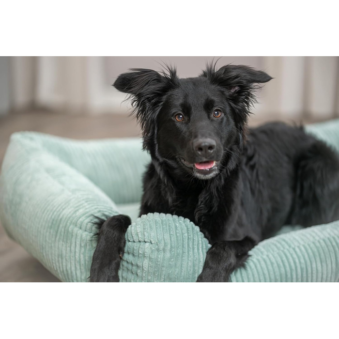 Ортопедичне собаче ліжко TRIXIE Vital Jonna, 60x50 см, Salbei (м'ята) - якісне ліжко з memory foam для собак, кошик для малих та літніх собак, захищає суглоби та знімає навантаження