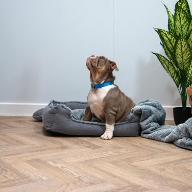 Крісло-ліжко для собак Ancol – зручна підстилка для дому, 60 x 50 см