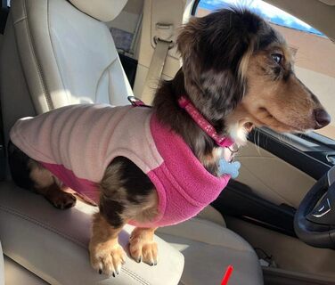 Тепла флісова жилетка для собак Gooby Medium - персиковий колір, напів-стрейч, з кільцем для повідка