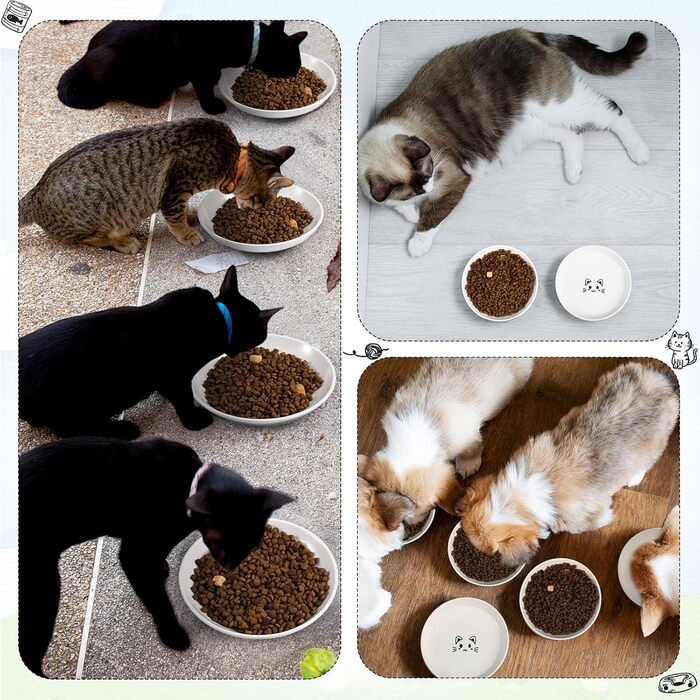Набір мисок для котів Singhoow (6 шт.) з кераміки: широкі, антиковзні, для корму та води