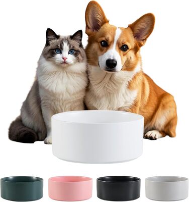 Керамічна миска для собак, годівниця для собак - неслизька миска для собак маленьких та середніх порід, миска для води для великих котів - керамічна миска для корму та води - 15 см - 320 г / 720 мл - біла