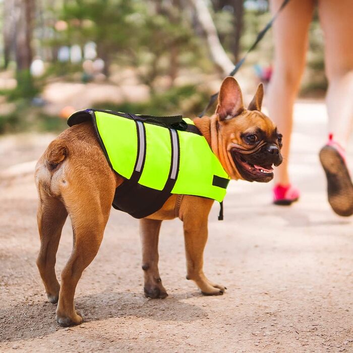 Жилет рятувальний для собак FainFun, розмір L, зелений: комфорт та безпека у воді
