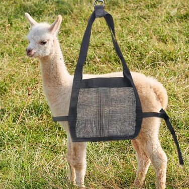 Вага для собак, телят, ягнят та альпак | Переносний знімний ремінь для грумінгу