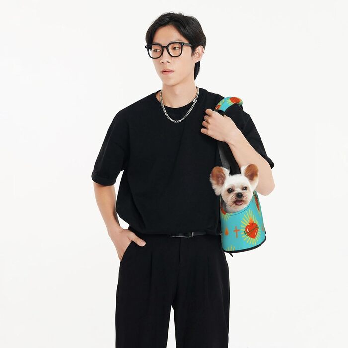 Транспортна сумка-переноска для котів та собак, складна, для подорожей (Love)