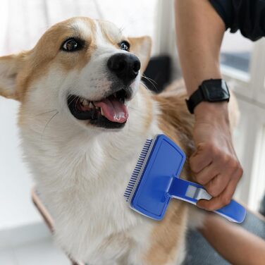 Щітка для собак та котів, грумінг для тварин, щітка для довгошерстих тварин, вичіска для собак та котів, 20x12 см, блакитна