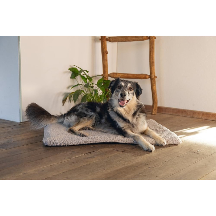 Ортопедичне ліжко для собак Beeztees Ito, сірого кольору, 78x55x4 см