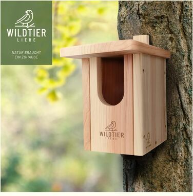 Дерев'яний годівничка та будиночок для птахів Wildtier Liebe Rotkehlchen, натуральне масивне дерево, гніздівля за стандартами NABU, для малих птахів, вологозахищений
