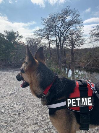 Шлея для собак Pet Me, нейлонова, з 2 світловідбиваючими знімними нашивками
