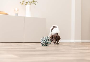 TRIXIE Килимок-головоломка для собак 'Schnüffelteppich' – інтелектуальна іграшка для собак, 70x47 см, 32005