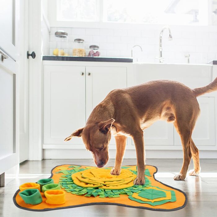 Килимок для собак Nobleza, розвиває інтелект, миється, складається, 70x70 см, помаранчевий