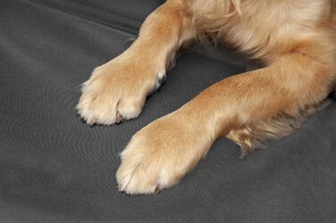 Захисний килимок Furhaven Deluxe з жорстким дном для заднього сидіння, місток-платформа для авто, сірий, універсальний розмір, з дорожньою сумкою