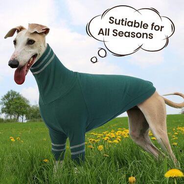 Светр для грейхаунда, італійського віндхаунда та віппета. Теплий светр з високим коміром для собак маленьких порід (зелений, L)