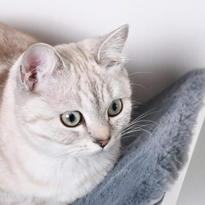 PawHut лежак для котів на стіну, котяче ліжко з МДФ, білий+сірий, 41x28x21 см, плюш, настінне кріплення