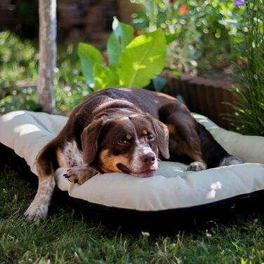 Килимок для собак 4L Textil Ella, 90x70 см, бежевий - водовідштовхувальне штучне шкіряне ліжко для собак середніх порід