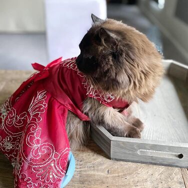 Сукня-тьюль для собак та котів DELIFUR: сукня-принцеса для святкування дня народження (Червоний, M)