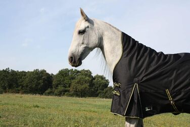 Зимова кінська попона time4horses з високим коміром, утеплена 200 г, водонепроникна, 1200D