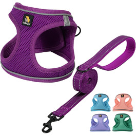 колір: віолетта