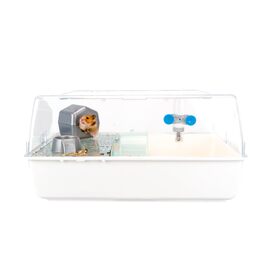 Клітка для хом'яків Ferplast MINI Duna (біла) - двоповерхова, з вентиляцією та прозорим дахом, 55x39x27 см