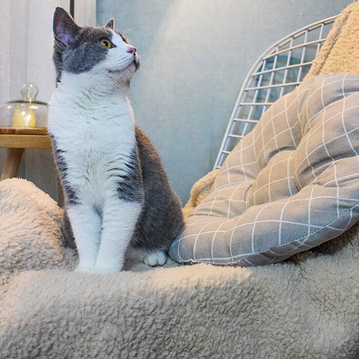 Balacoo Преміум флісова ковдра для собак, м'яка та тепла, плюшевий килимок для собак та котів, розмір L (бежевий)