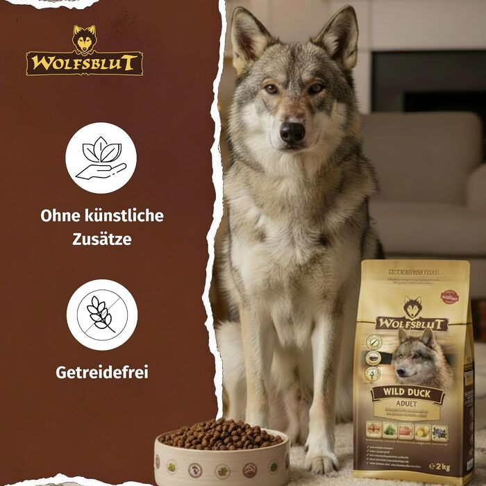 Сухий корм для дорослих собак WOLFSBLUT Wild Duck з качкою та суперфудами, беззерновий, 2 кг