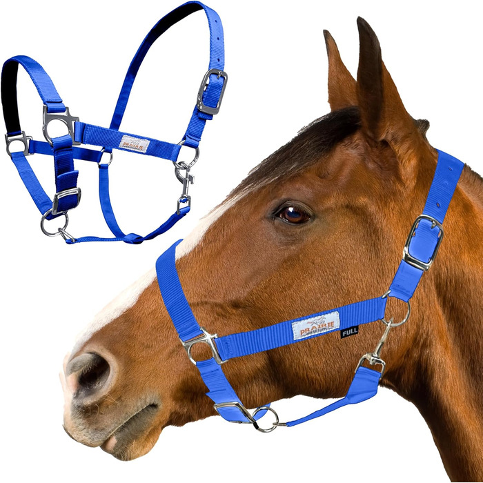 Нейлонова вуздечка для коня Prairie Horse Supply, синя, 2,5 см, регульована, кінська амуніція для верхової їзди