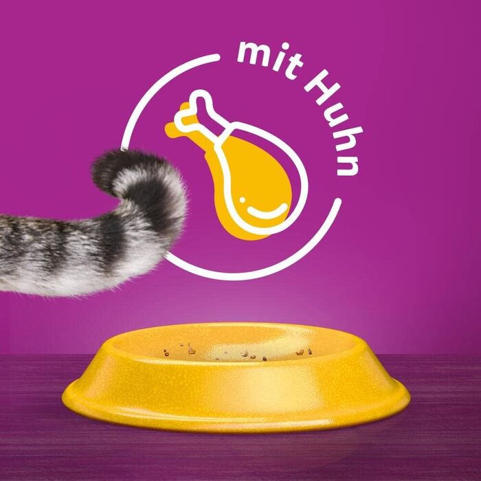 Сухий корм для дорослих котів Whiskas з куркою, 3.8 кг (набір з 6 упаковок по 1.9 кг)