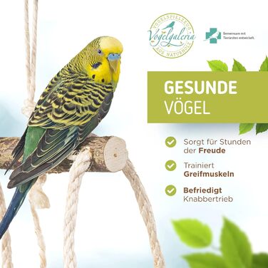 Підвісний ігровий майданчик для птахів Vogelgaleria з багатьма жердочками – ідеальна іграшка для хвилястих папуг, корел та інших домашніх птахів
