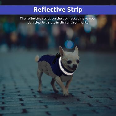 Зимовий теплий одяг для собак: водонепроникна куртка з підкладкою з вовни, для маленьких та середніх собак, блакитна, розмір XS