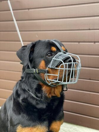 Міцний нашийник-маска для собак з дротяної сітки, Rottweiler, Mastiff, Golden Retriever та інші (шкіряний, чорний, R4)