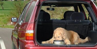 Road Refresher Large Green - освіжувач повітря для тварин Prestige Pet Products (1 шт.)