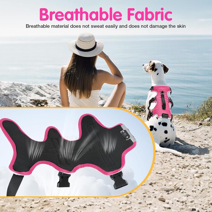 Світловідбиваючий нашийник для собак з LED, перезаряджуваний, зручний, водонепроникний, для середніх та великих собак, зелений (рожевий, M)