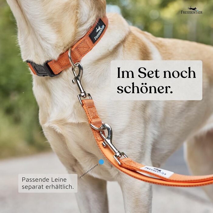 Нашийник для собак Freudentier: м'який, з неопрену, світловідбиваючий, міцний (Sunset Orange, 35-50 см)