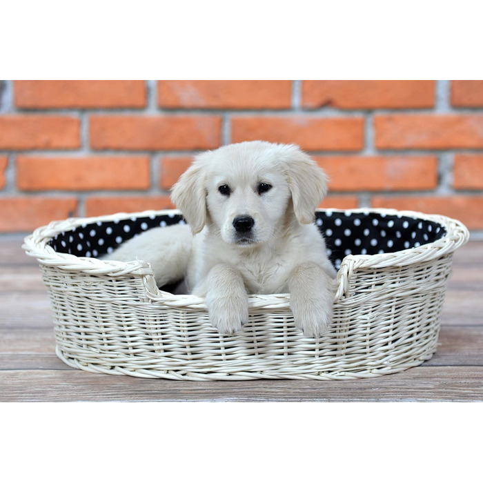 Гніздо для собак з лози e-wicker24 502-60, коричневе, 60x43x19 см (80x60x26 см, бежеве)