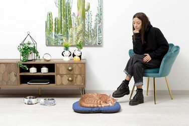 Подушка для собак та котів Baroni Home, 40x60x7 см, Doubleface, сірий та блакитний, розмір S