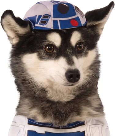 Костюм для собак R2-D2 Star Wars від Rubie's, білий, розмір XL (довжина хвоста 28 см, обхват грудей 43 см), для Хелловіну